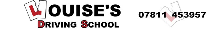LDS Banner